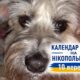 Календар війни на Нікопольщині: 10 вересня (оновлюється)
