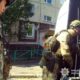 Перед очима постійно були обірвані дроти, спалені автомобілі, поля, де ще догорали пожежі: з Нікополя і Марганця евакуювали дві родини з дітьми (фото, відео)