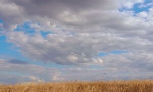 Хмарно з проясненням: якою буде погода у Нікополі 17 вересня