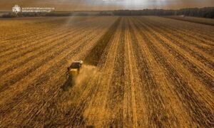 Попри війну і обстріли: жнива на Дніпропетровщині тривають, результат кращий, ніж минулого року (фото)