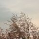 погода у Нікополі 15 вересня