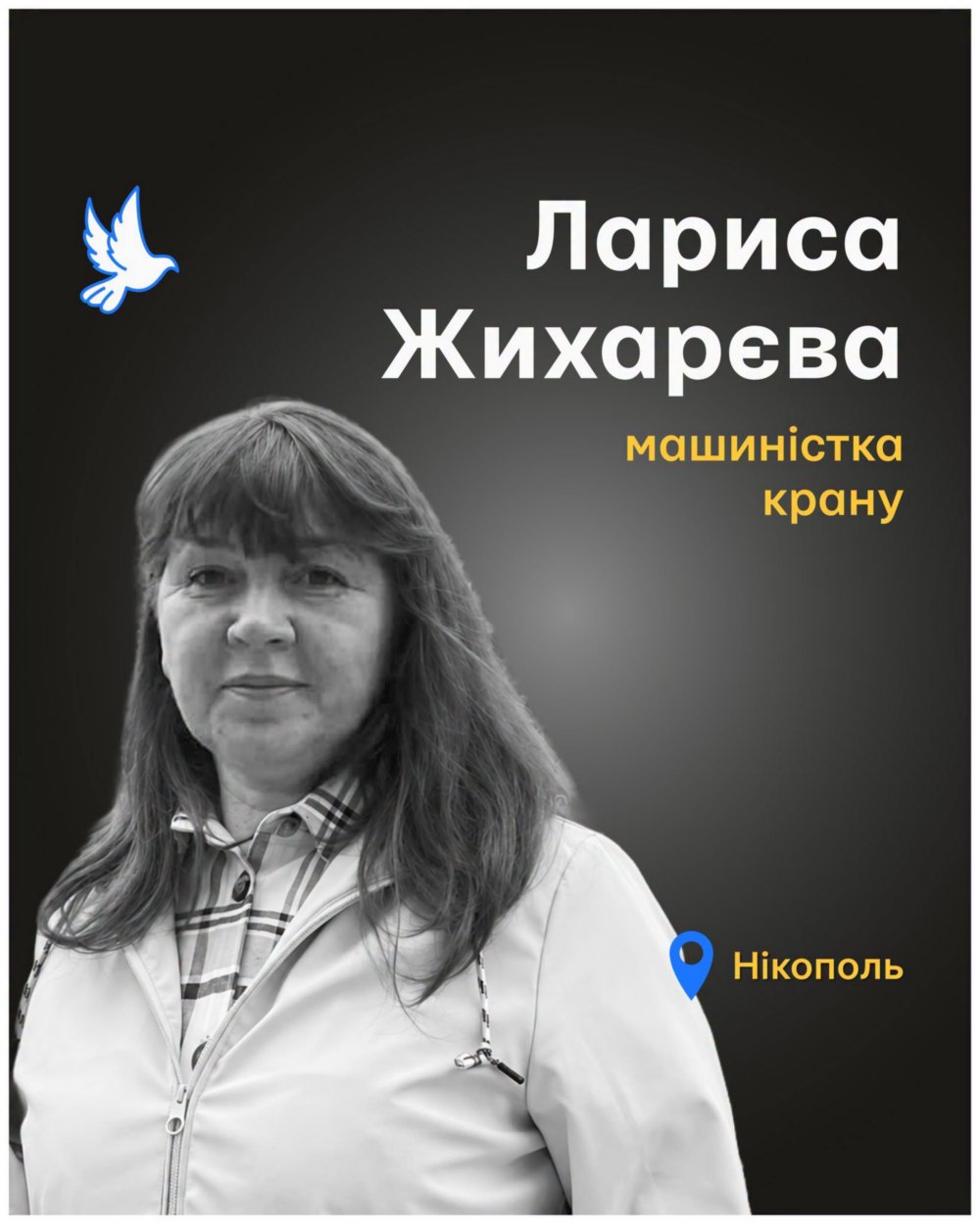 у Нікополі у Нікополі