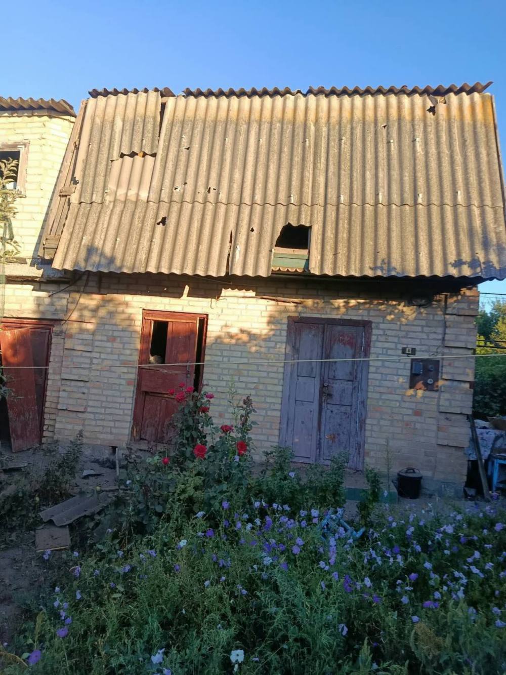 у Нікополі 6 у Нікополі 6
