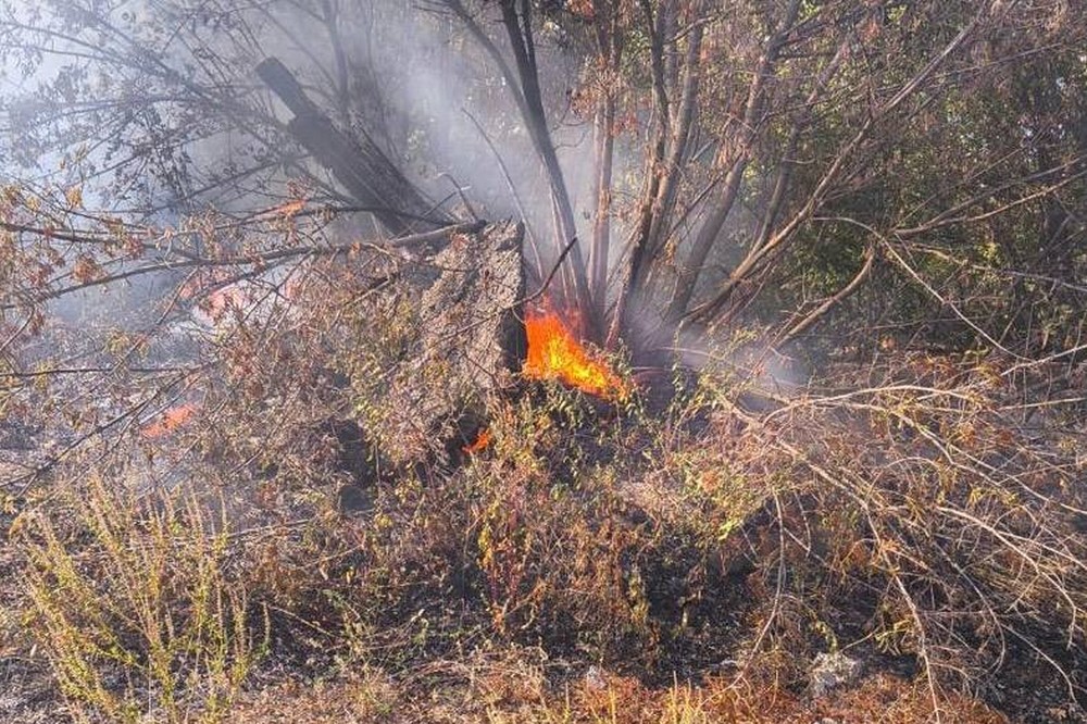 у Нікополі 7 у Нікополі 7
