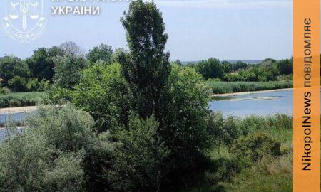 На Нікопольщині у державну власність повернуть понад 60 га земель природно-заповідного фонду