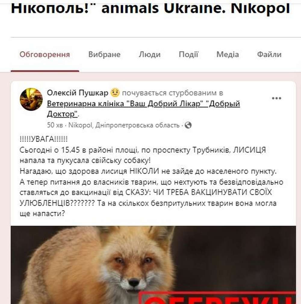 2023 нікополь лисиця
