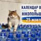 Календар війни на Нікопольщині: 25 жовтня (оновлюється)