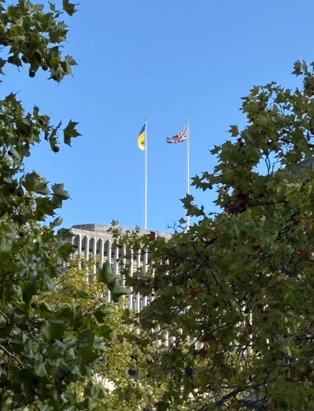 Лікарям з Дніпра аплодували в самому центрі Лондона (фото)