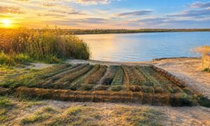 На Нікопольщині виявили безхазяйні 16 раколовок з 92 екземплярами водних біоресурсів