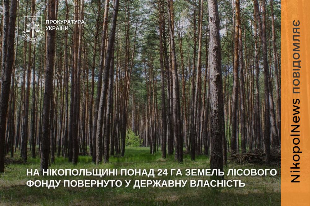 На Нікопольщині державі повернули понад 24 гектари лісових земель