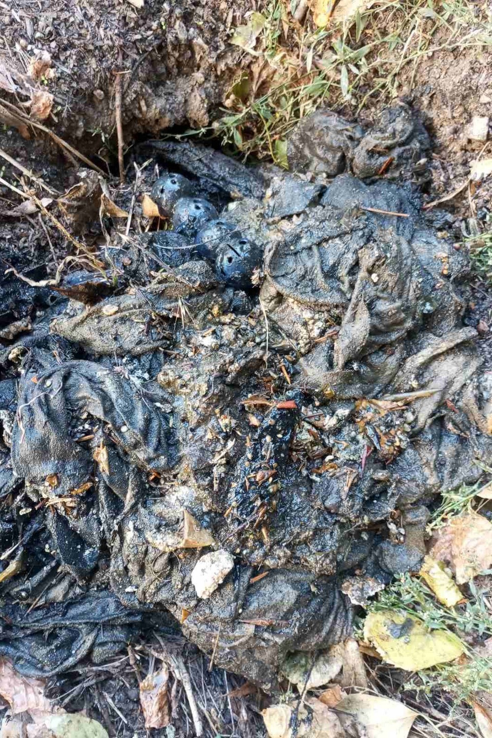Ось що працівникам водоканалу Нікополя доводиться діставати з каналізації звернення до мешканців (фото) (4) Ось що працівникам водоканалу Нікополя доводиться діставати з каналізації звернення до мешканців (фото) (4)