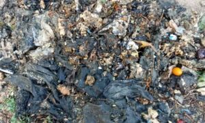 Ось що працівникам водоканалу Нікополя доводиться діставати з каналізації: звернення до мешканців (фото)