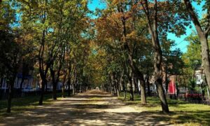 Погода у Нікополі