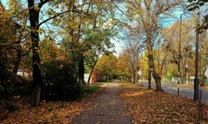 Погода у Нікополі 29 жовтня