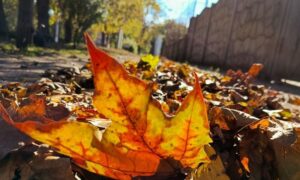 Погода у Нікополі