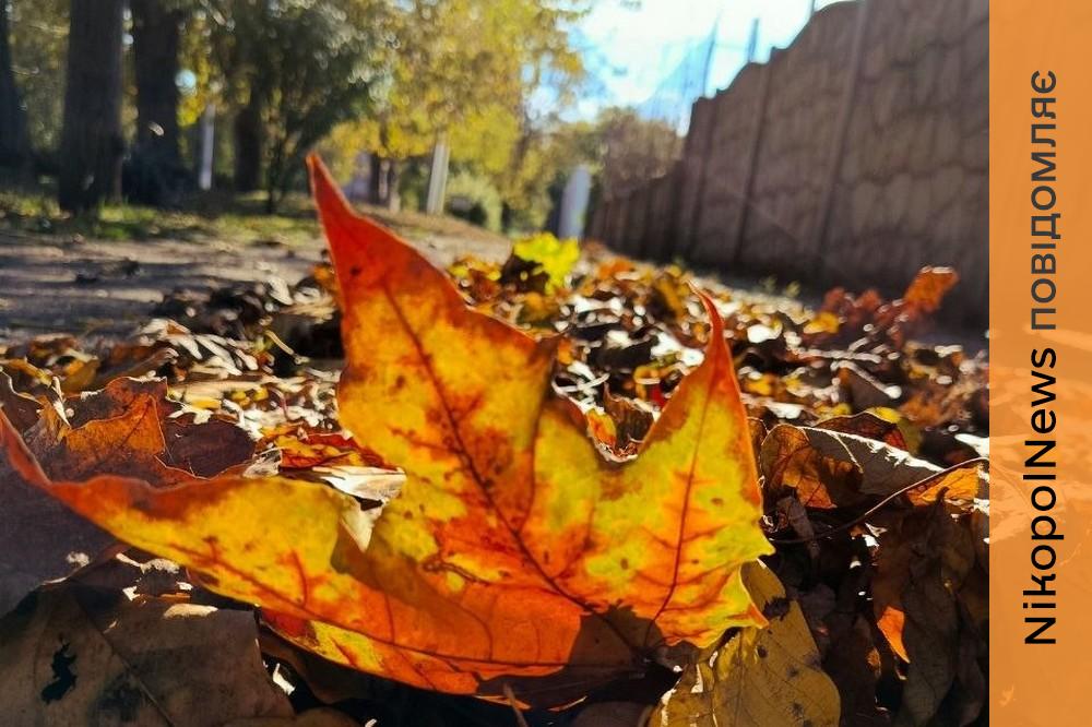 Погода у Нікополі