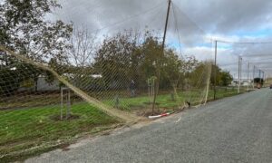 П’яний водій збив опори захисних сіток у Червоногригорівці (фото)