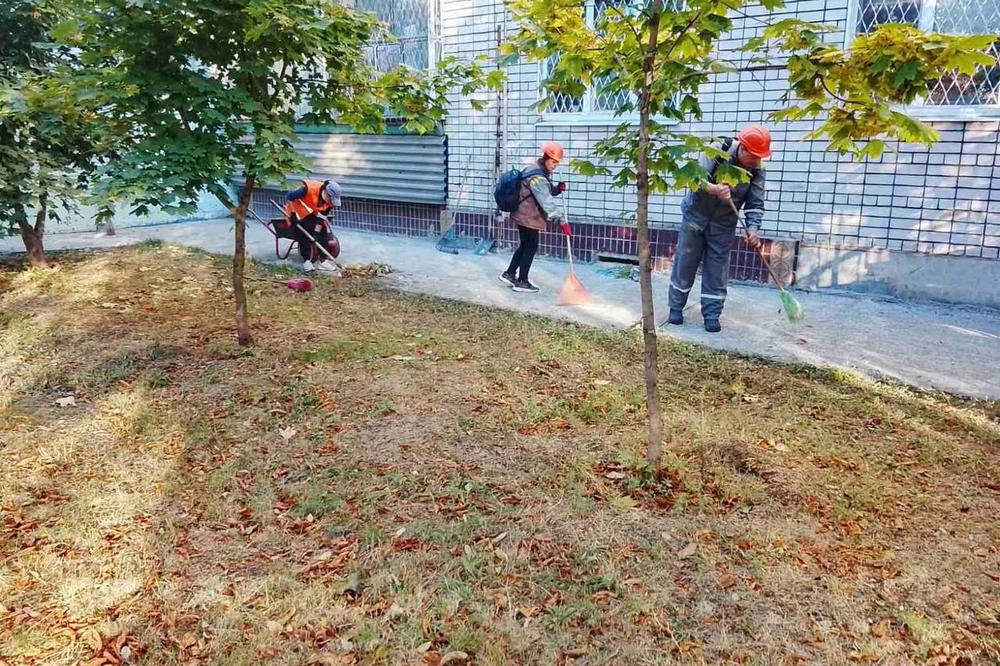 У Нікополі 11 У Нікополі 11