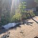 У Нікополі чоловік прийшов набрати воду і загинув від ворожого обстрілу, ще троє постраждали, є поранений у Павлограді — моторошні подробиці від поліції (фото)