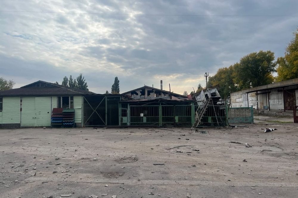 У Нікополі6 У Нікополі6