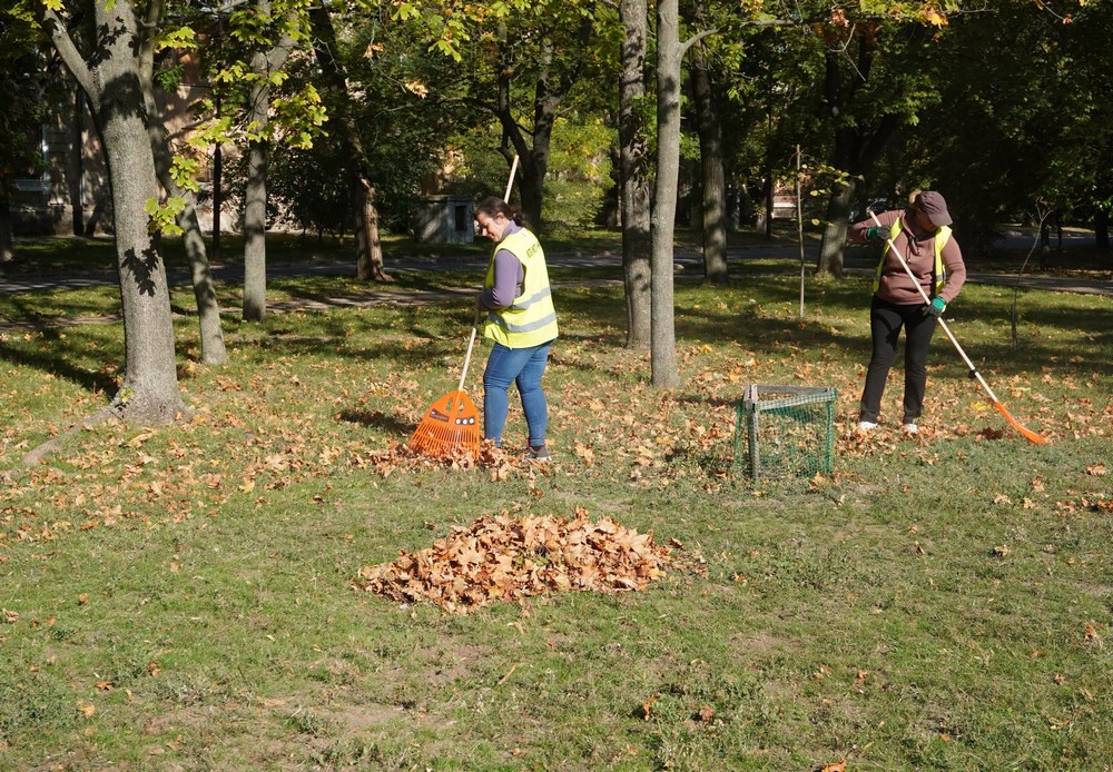 листя 1 листя 1