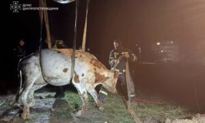 на Дніпропетровщині 2