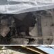 У Нікополі продовжують безкоштовно відновлювати
