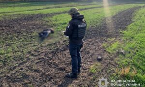 Скинули боєприпас з FPV-дрона на дітей і вбили хлопчика на Нікопольщині, багато поранених у районі і області – подробиці кривавих атак окупантів від поліції