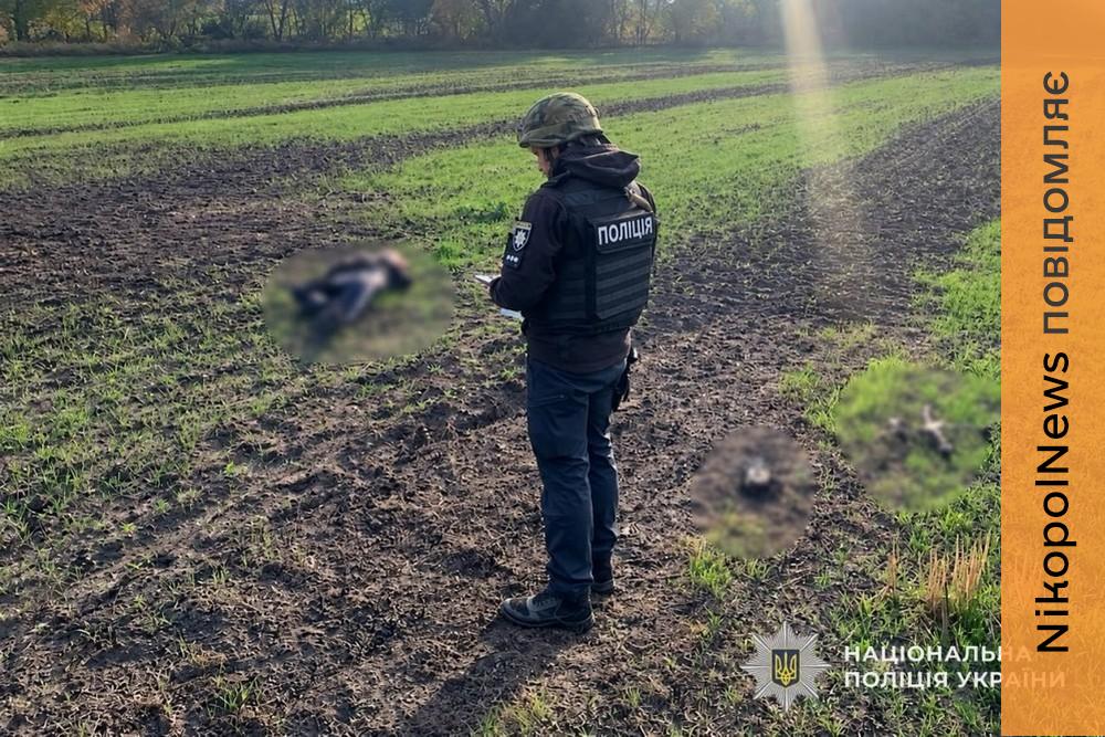 Скинули боєприпас з FPV-дрона на дітей і вбили хлопчика на Нікопольщині, багато поранених у районі і області – подробиці кривавих атак окупантів від поліції