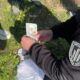 У Нікополі прикордонник вимагав 5 тисяч доларів за службу без бойових завдань (фото)
