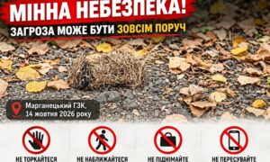 Міна може ховатися серед опалого листя: Нікопольська РВА попереджає про небезпеку