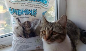 Не лише для людей: у Нікополі передали гуманітарну допомогу для тварин (фото)