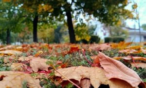 Хмарно та прохолодно: погода у Нікополі 16 жовтня