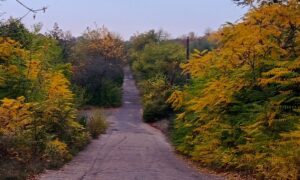 Дощ із грозою: погода у Нікополі 18 жовтня