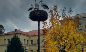 Мінлива хмарність: погода у Нікополі 25 жовтня