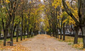 Як пройшла ніч 31 жовтня у Нікополі, розповів Олександр Саюк