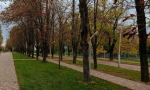 погода у Нікополі