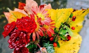 погода у Нікополі 31 жовтня
