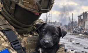 у Нікополі