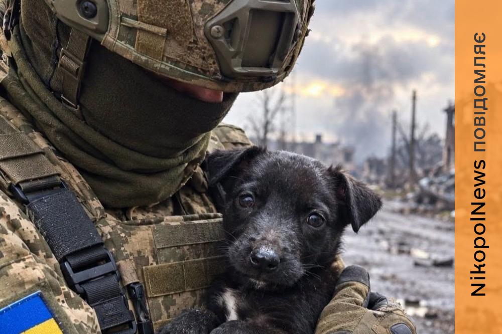 у Нікополі