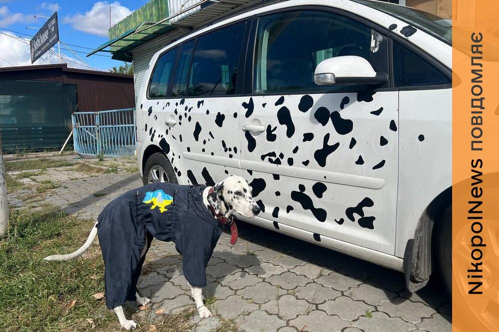 у Нікополі 4