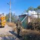 у Нікополі 7