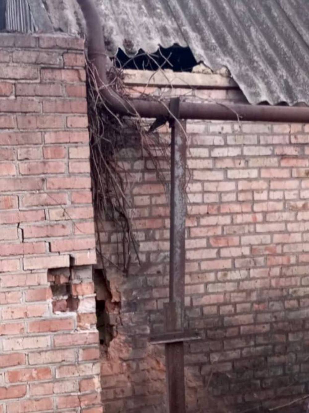 у нікополі 3 у нікополі 3